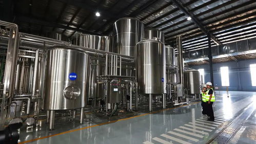 年灌裝成品酒1.45萬噸 雪樹七日鮮 下線