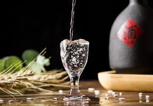 珍酒李渡赴港上市 白酒教父爭(zhēng)奪醬酒第二股，預(yù)包裝食品市場(chǎng)迎來新機(jī)遇